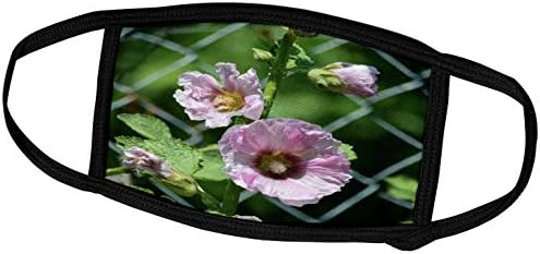 Bir Çit ile 3dRose Güzel Pembe Gülhatmi Çiçekleri - Yüz Kapakları (fc_254469_1)