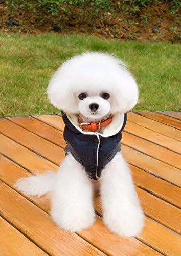 JİEYA Küçük Köpek Hoodie Şapka ile Pet Kazak Kış Sıcak Kalınlaşmak Coat Köpek Yavrusu için (XL, Lacivert)