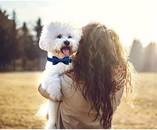 HFDGDFK Kahverengi Ekose Yün Yaka ile Naylon-Sıcak ve Yumuşak Yaylar köpek tasması için Büyük Orta Küçük Köpek (Renk:
