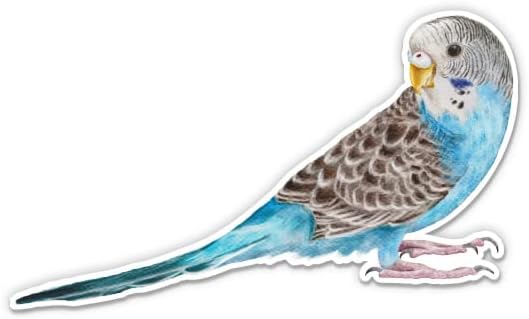 Muhabbet Kuşu Çıkartması-5 laptop etiketi - Araba, Telefon, Su Şişesi için Su Geçirmez Vinil-Muhabbet Kuşu Çıkartması