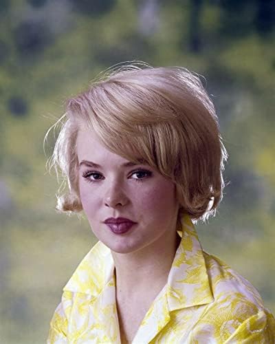 Joey Heatherton klasik 1960'lar sarı ve beyaz bluz 8x10 inç fotoğraf