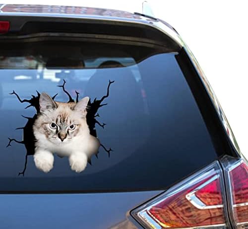 Ragamuffin Kedi Sticker Kedi Stickerss Kedi Çıkartmaları Arabalar için Komik Uyarı Araba Çıkartmaları Ebeveynler